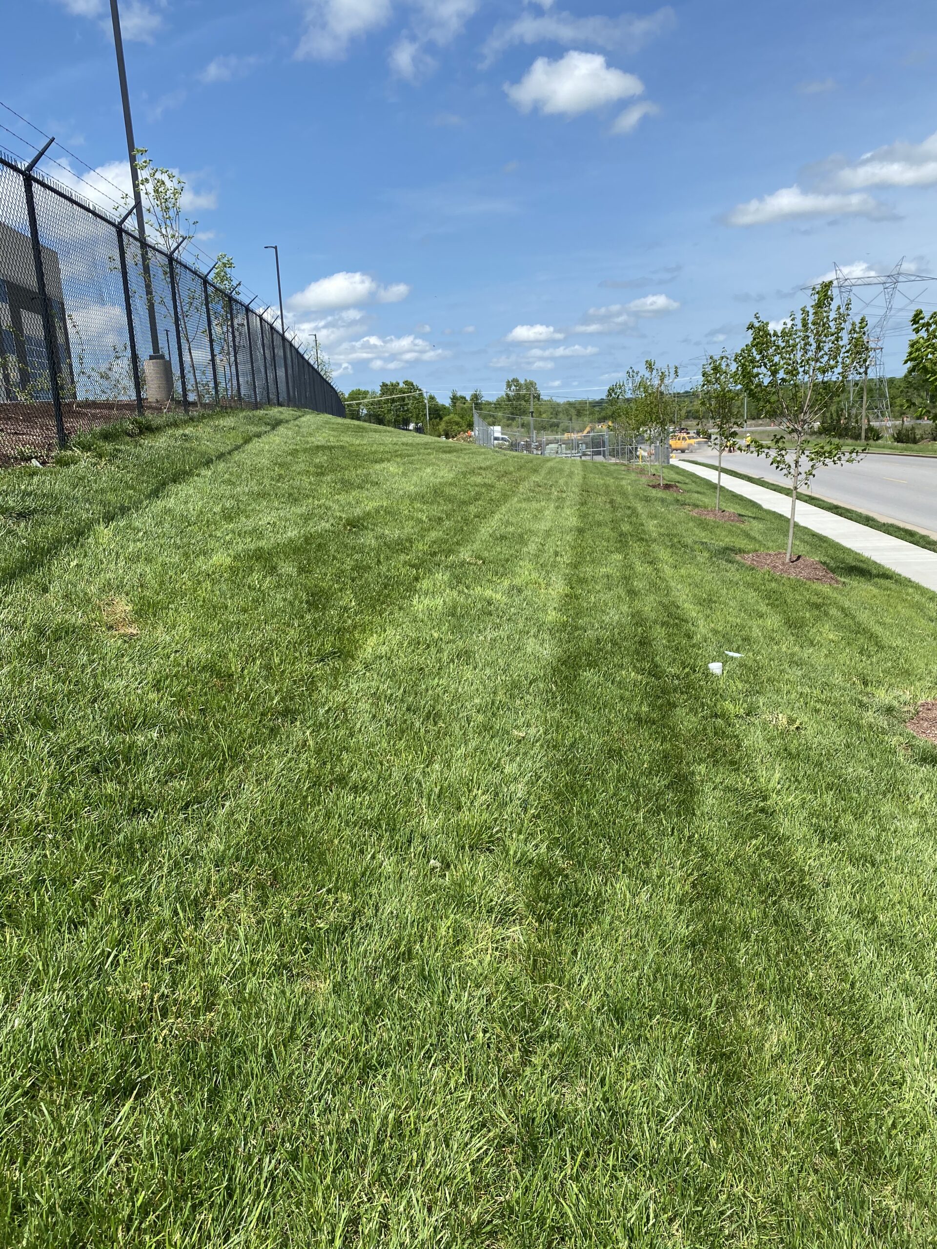 IMG_2586 grass mowed in aesthetic pattern