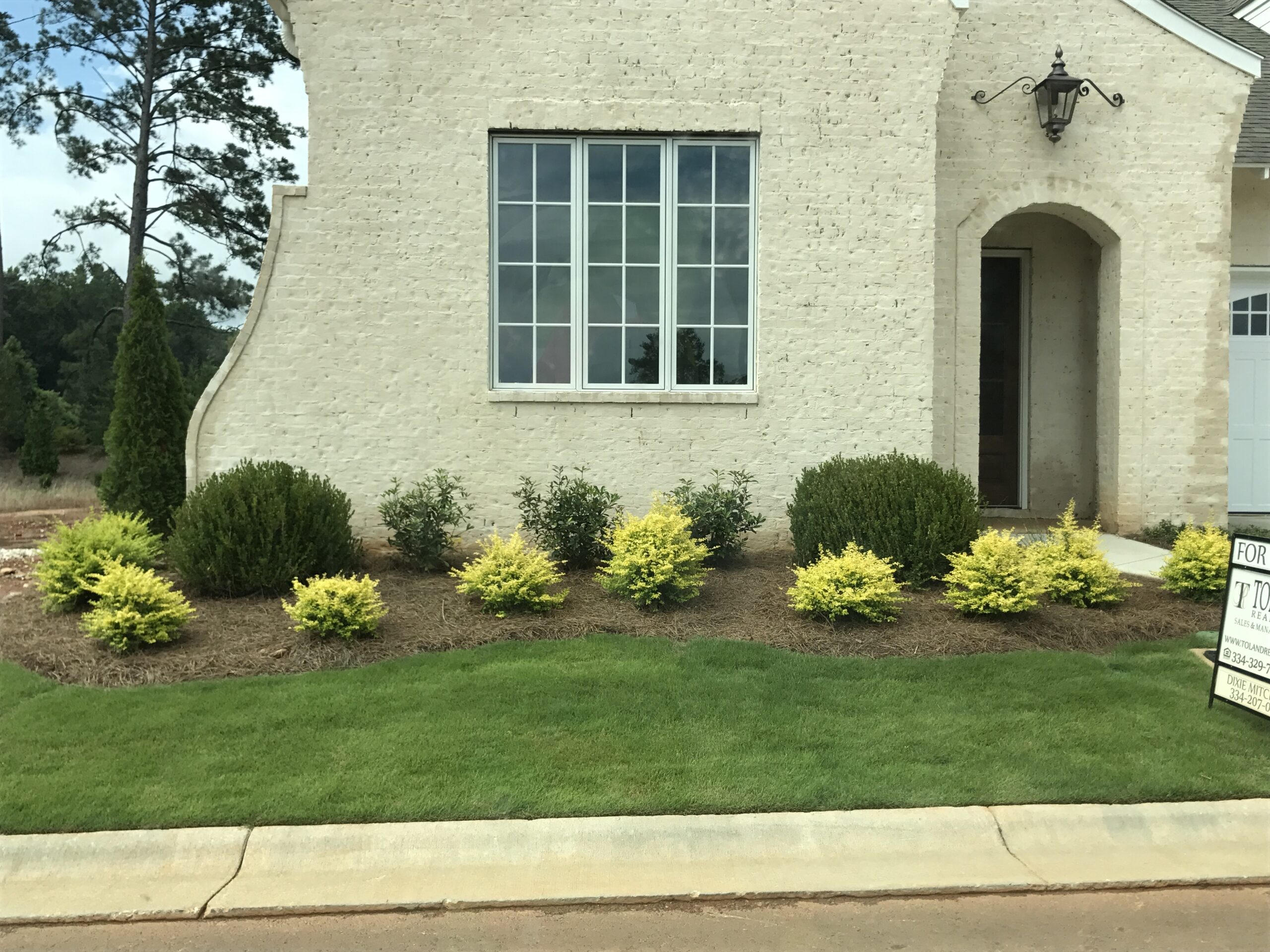 plants in front of a residential home landscape services