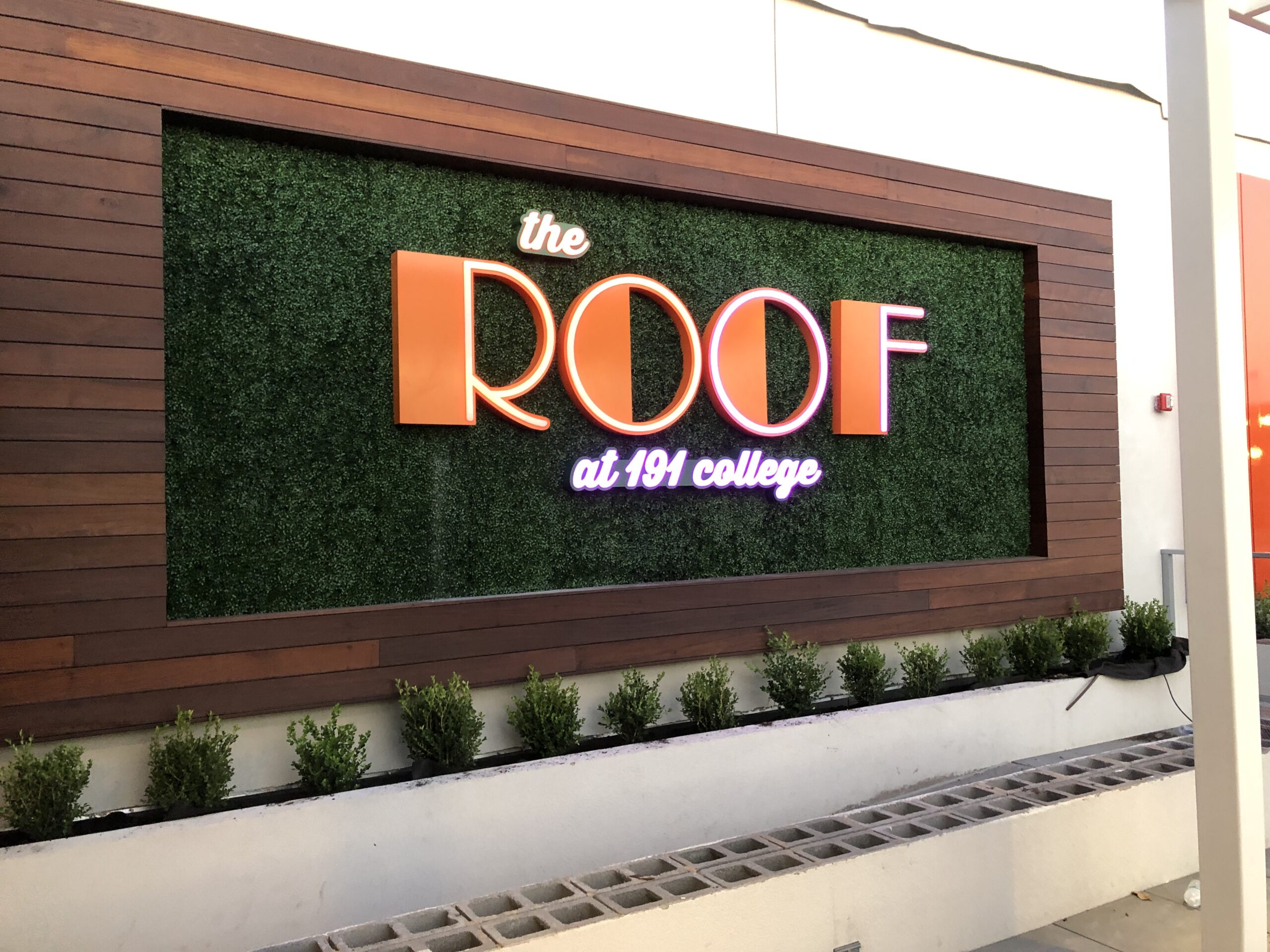 The Roof at 191 college landscape design and installation