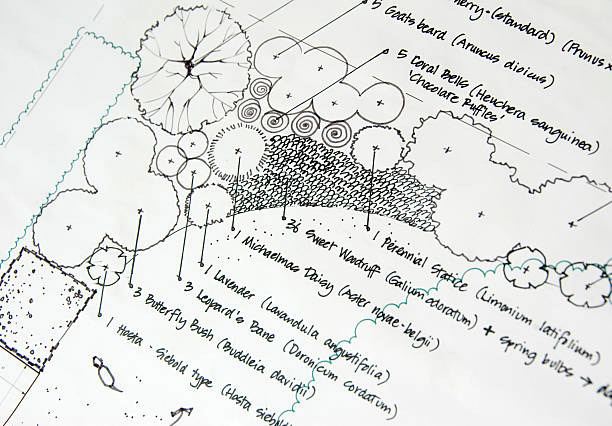 landscape design plans
