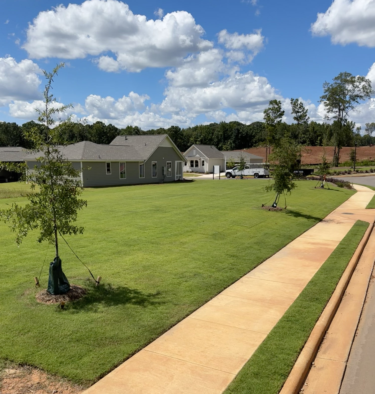 neighborhood landscaping HOA residential